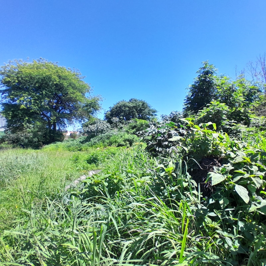 Commercial Property for Sale in Zinniaville North West